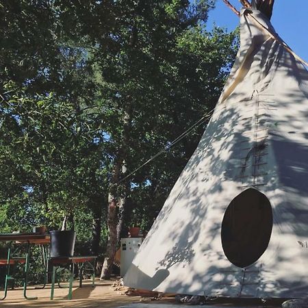 Tipi Lodge Dans La Foret 米尼赞海滩 外观 照片