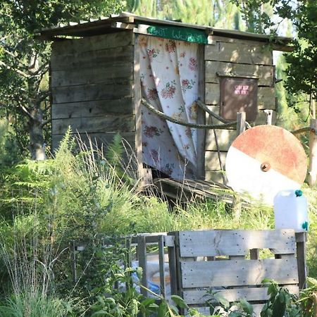 Tipi Lodge Dans La Foret 米尼赞海滩 外观 照片