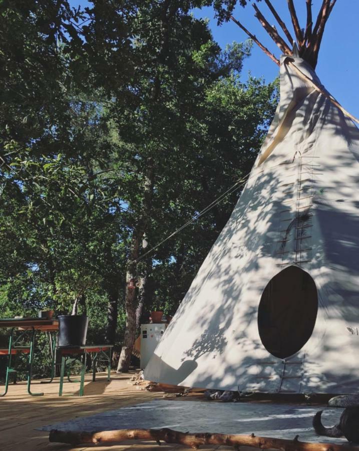 Tipi Lodge Dans La Foret 米尼赞海滩 外观 照片