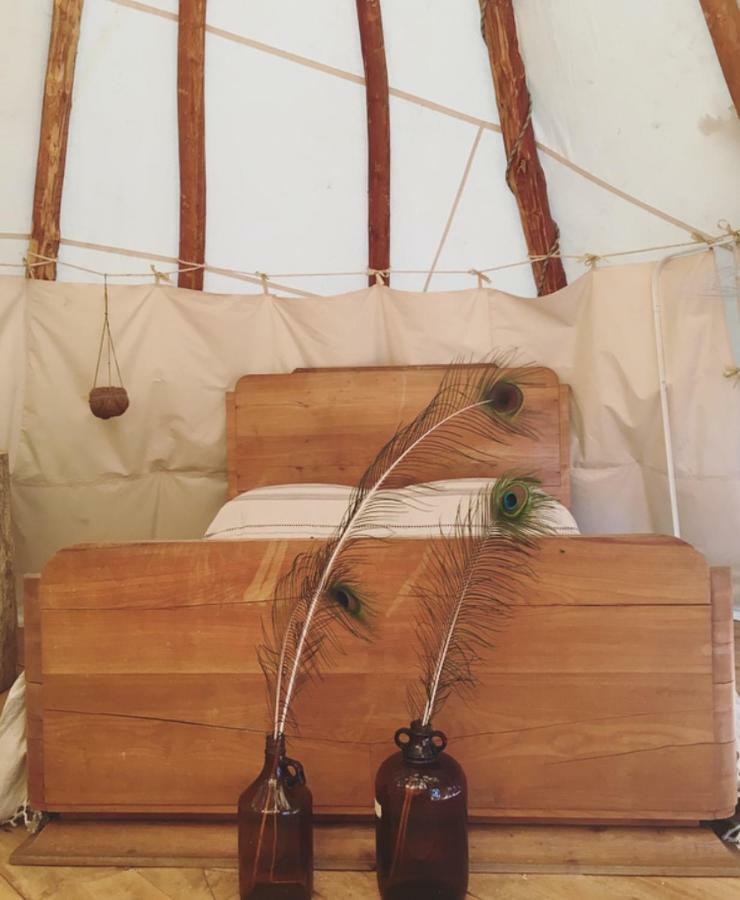 Tipi Lodge Dans La Foret 米尼赞海滩 外观 照片