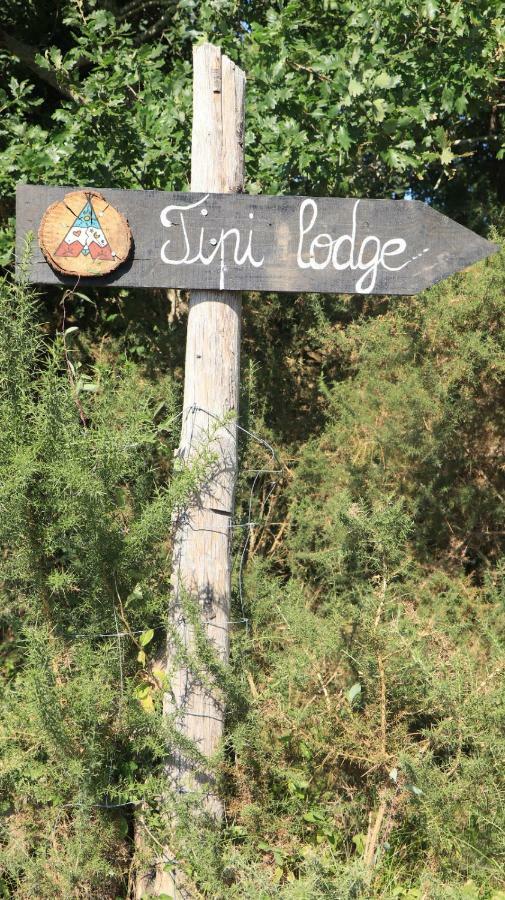 Tipi Lodge Dans La Foret 米尼赞海滩 外观 照片