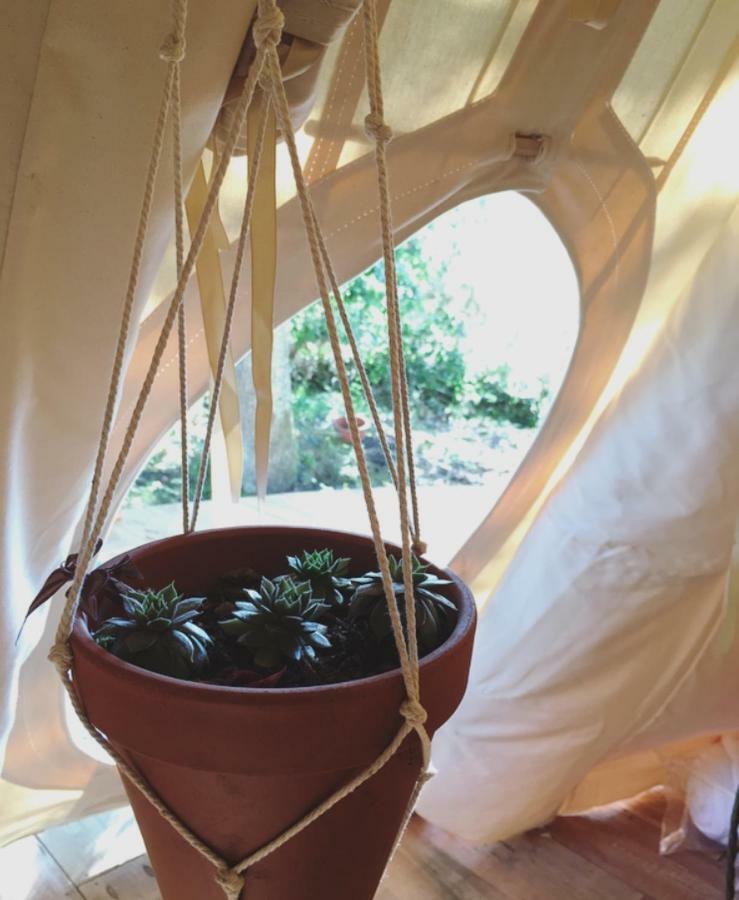 Tipi Lodge Dans La Foret 米尼赞海滩 外观 照片