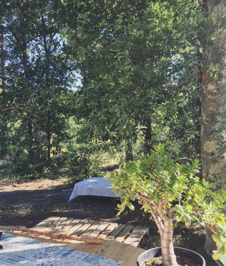 Tipi Lodge Dans La Foret 米尼赞海滩 外观 照片
