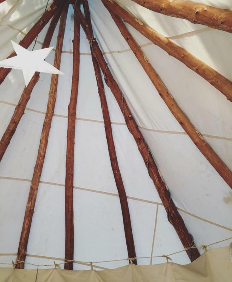 Tipi Lodge Dans La Foret 米尼赞海滩 外观 照片